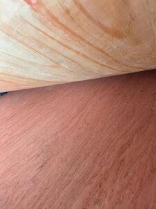 قشرة خشب بينتانغور للبيع